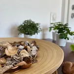 公寓 Urban Jungle In + Netflix 卡塞尔