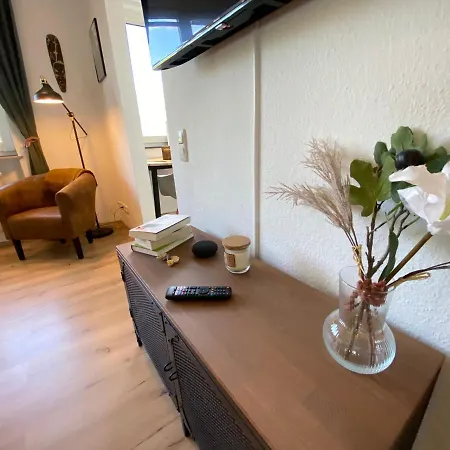 Urban Jungle In + Netflix 卡塞尔