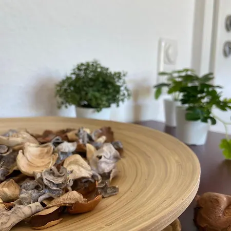 Appartamento Urban Jungle In + Netflix Kassel