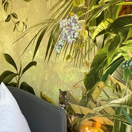 Urban Jungle In + Netflix
