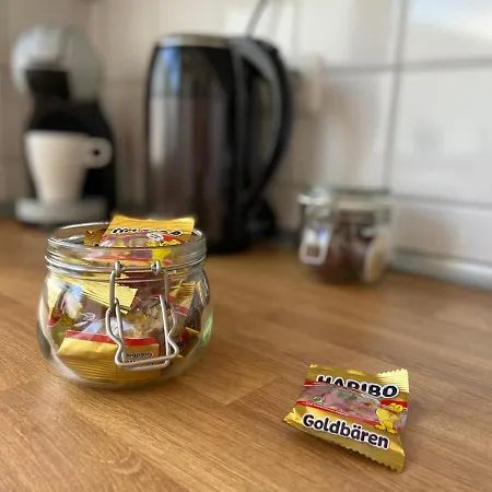 Urban Jungle In + Netflix *