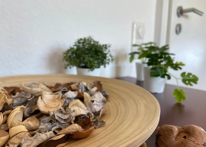 Apartman Urban Jungle In + Netflix Kassel