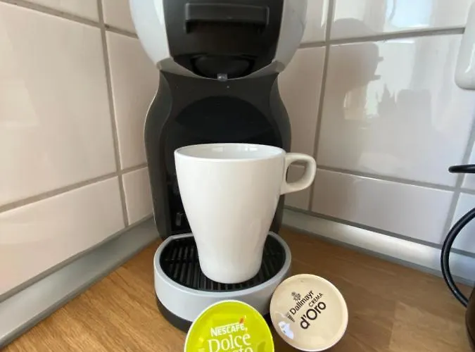 Urban Jungle In + Netflix Kassel