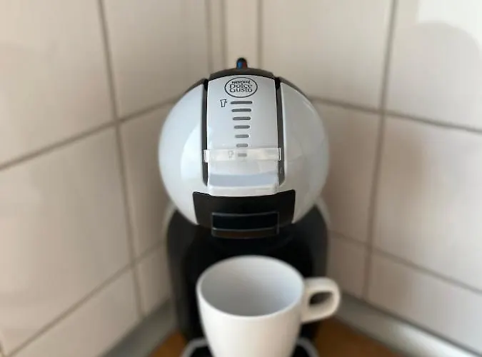 Urban Jungle In + Netflix * Kassel